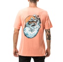 REMERA MANGA CORTA - CHETI 