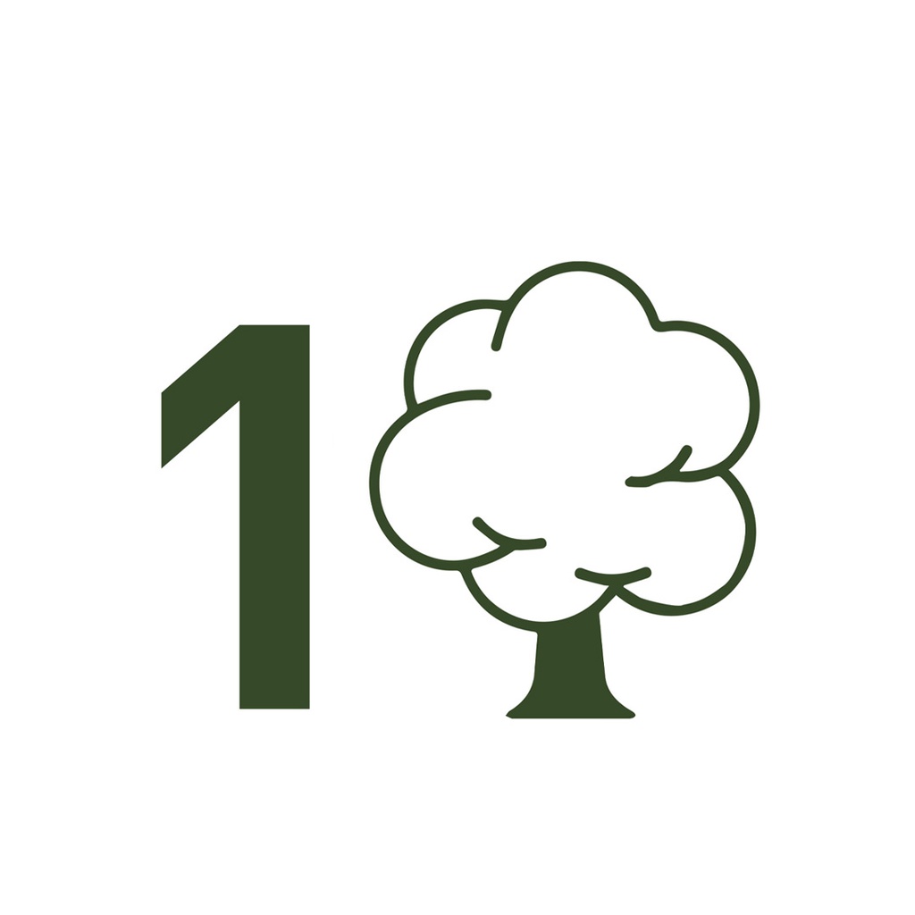 Árbol reforestado por THIS IS BP