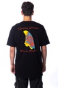 REMERA - NAMI