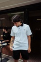 CHOMBA - PINES